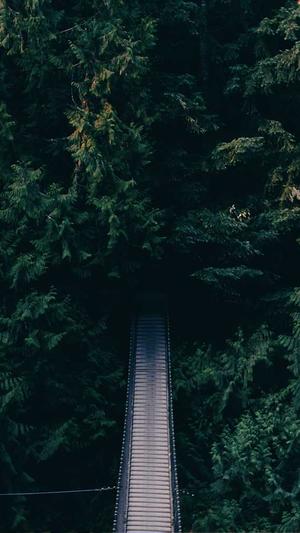 黑料不打烊一字马截图4